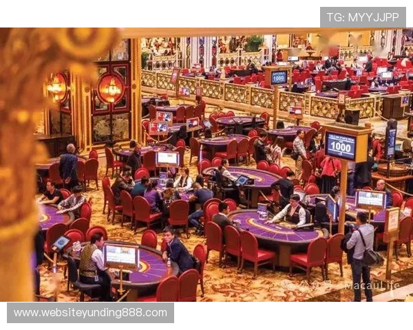 亚洲最大的赌场：澳门美高梅度假村的多元娱乐与高端服务体验